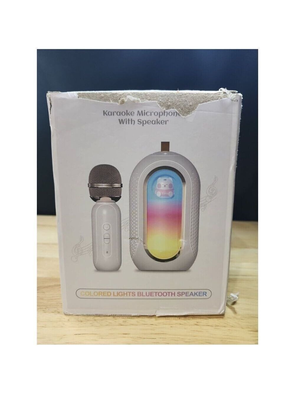 Karaoke Mic